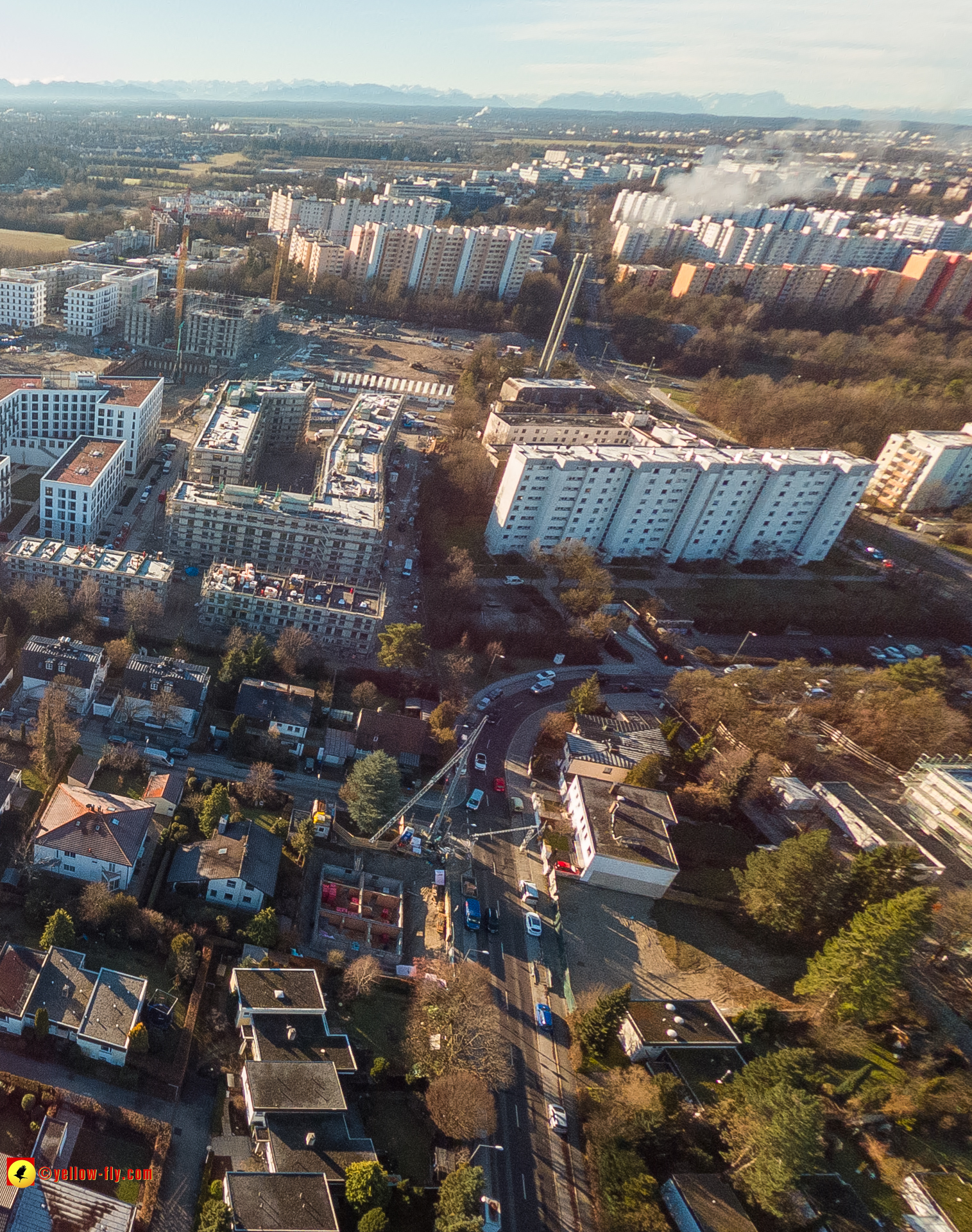 16.01.2023 - Alexisquartier und Pandion Verde 16.01.2023 - Alexisquartier und Pandion Verde